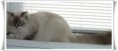 /album/benson/benson-0144-jpg/
